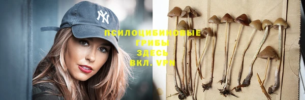 прущий лед Горняк