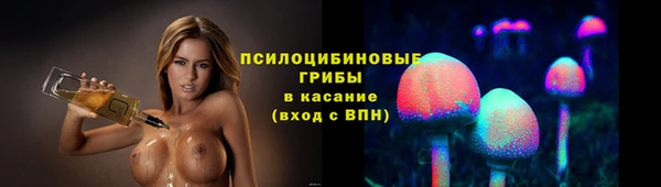 a pvp Горнозаводск