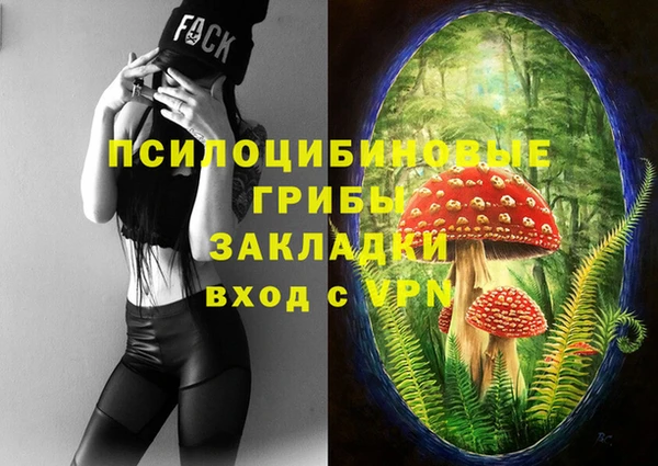 a pvp Горнозаводск