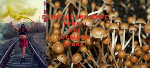 наркотики Горно-Алтайск