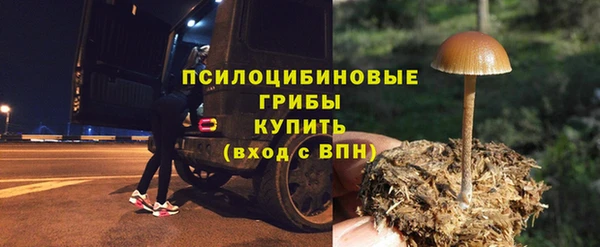 прущий лед Горняк