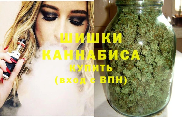 прущий лед Горняк